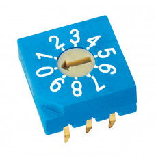 Dip переключатель RS31000