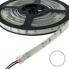 3528 150LED IP68 12V*12W WHITE